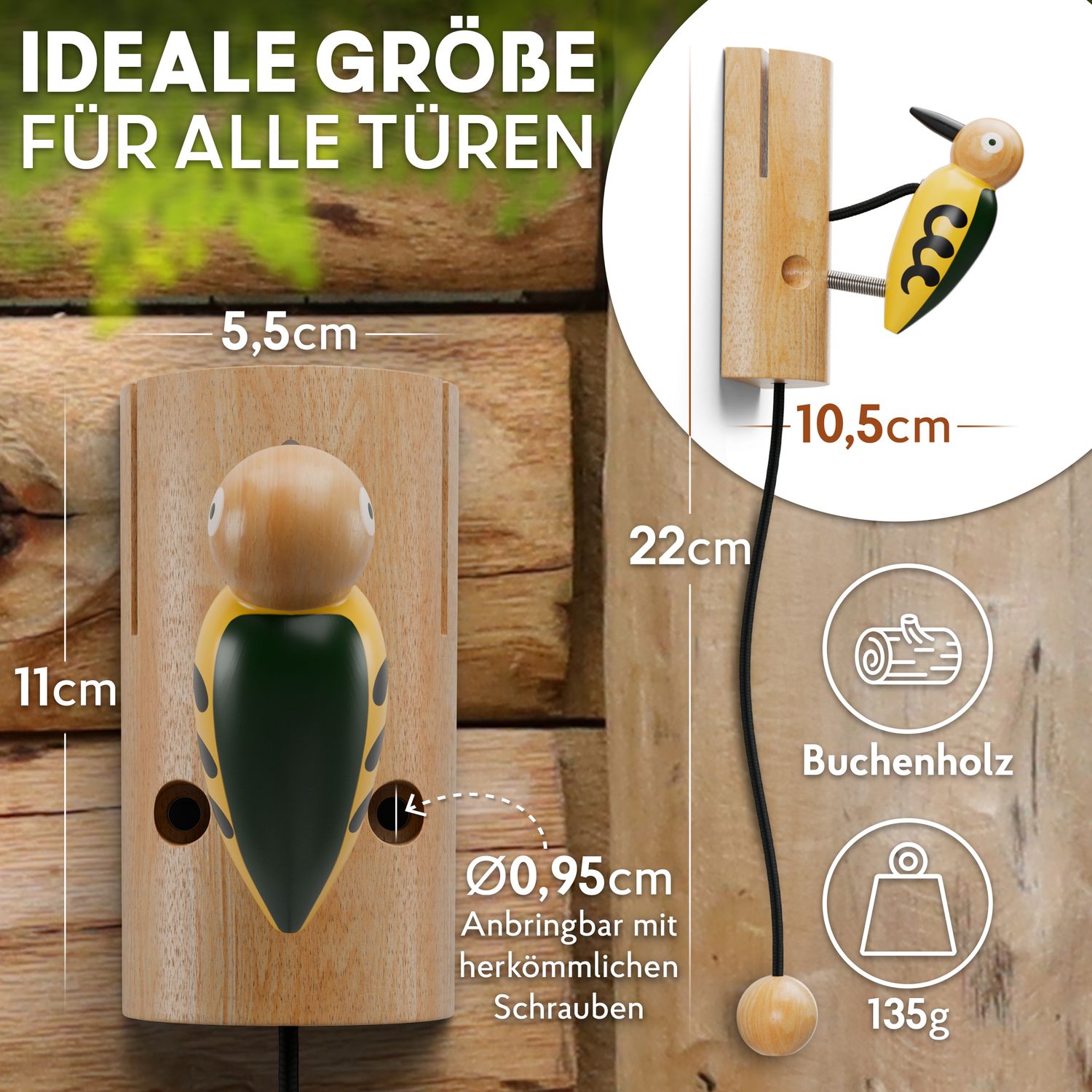 Maßeinheiten unseres Klopfspechts