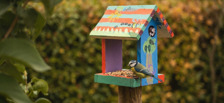 Vogelfutterhaus selber bauen: Anleitung für Garten und Balkon